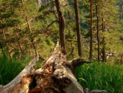 2013-07-13_Regina-F-Rau_Sonnenspitze3 (127).JPG